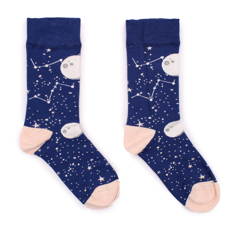 AW Gifts Hop Hare Bamboe Sokken - 41-46 - Maanwandeling - BamS-06F-M
