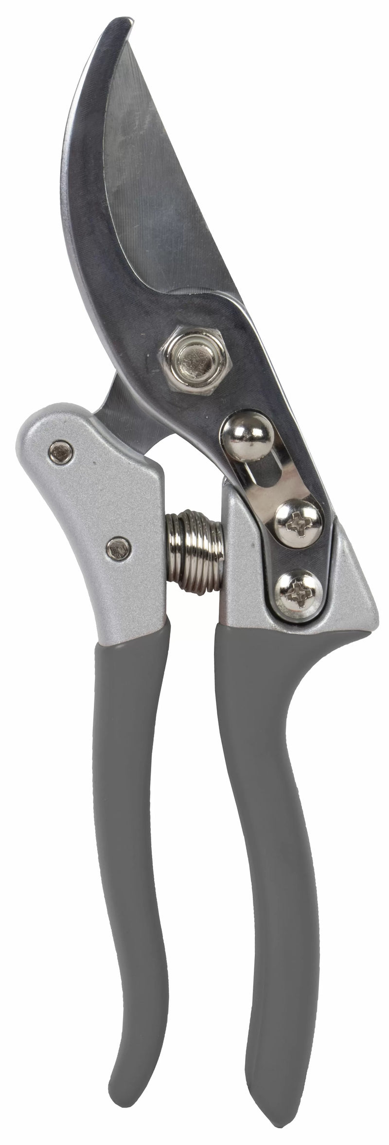 Talen Tools Snoeischaar 25 mm - Gesmeed staal - Voorbijsnijdend - Hoge kwaliteit - 21,5 cm - SQ51