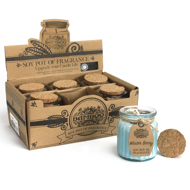 AW Gifts Geparfumeerde Sojawas Kaars in Glazen Pot - Winterbessen- 5.5 cm - 20 branduren - SoyP-05