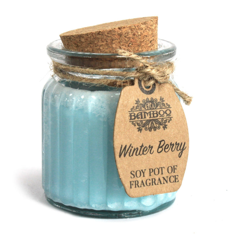 AW Gifts Geparfumeerde Sojawas Kaars in Glazen Pot - Winterbessen- 5.5 cm - 20 branduren - SoyP-05