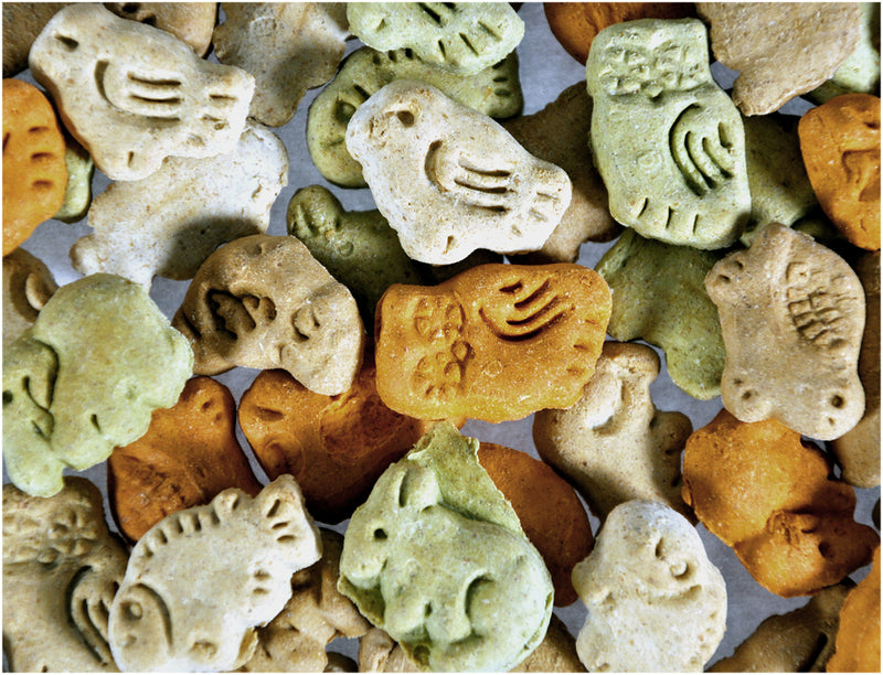 Vadigran Snack hond Biscuits Animal mix 500g - 13177
